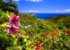 Stone Cottage, St Thomas, U S Virgin Islands,  - Just Properties