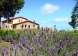 Agriturismo Monte Fugnana, Near Gubbio, Umbria,  - Just Properties