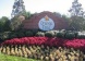 HOA412 Orange Tree, Davenport,  - Just Properties
