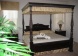 7978 Sea Pearl Court, Formosa Gardens,  - Just Properties