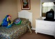 7965 Sea Pearl Circle, Formosa Gardens Estates,  - Orlando Vacation Rentals