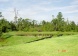 369 Scrub Jay Way, Sandy Ridge,  - Just Properties