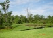 369 Scrub Jay Way, Sandy Ridge,  - Just Properties